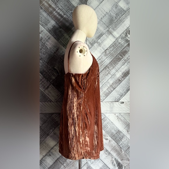 ELODIE NWOT CLAY VELVET MINI DRESS - Picture 5 of 9